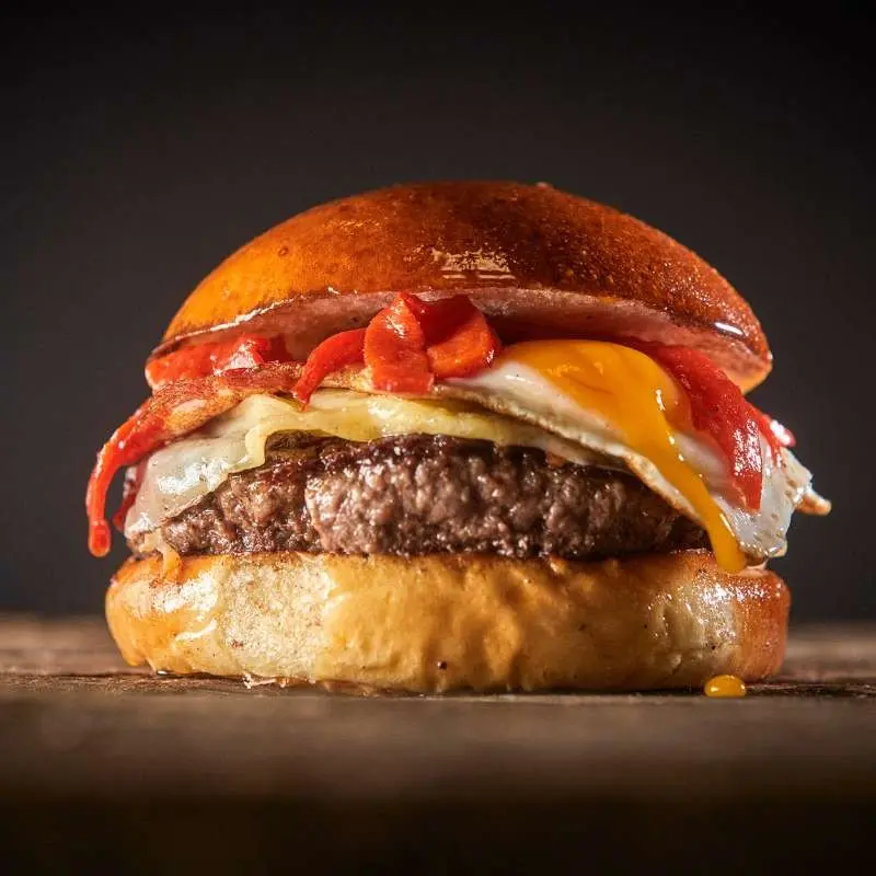 Foto de burger 1